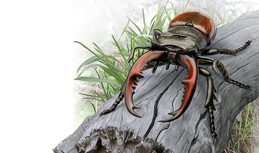 Natural history illustration of a stag beetle on a weathered log.
